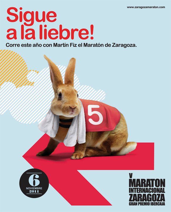 V Maratón Internacional Zaragoza [+ Prueba Corta 5k]