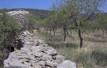 Senderismo: Lecina - Betorz - Molino de Almazorre - Lecina