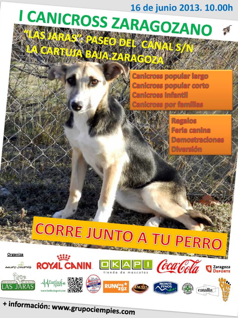 I Canicross Zaragozano ¡Corre con tu perro!