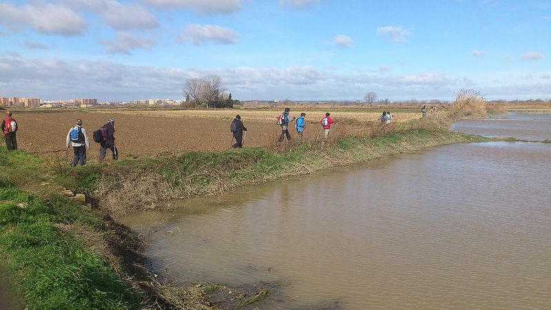 Marcha Nórdica La Cartuja - El Burgo de Ebro