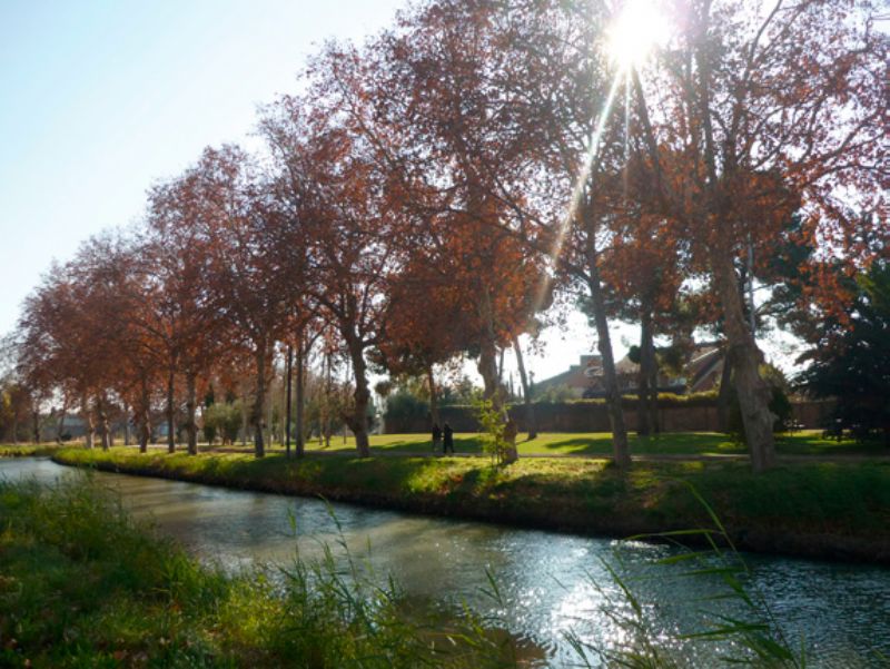 Paseo Popular ZaragozAnda