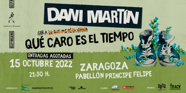 Concierto de Dani Martín