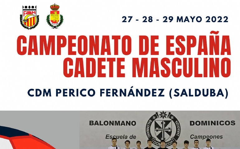 Sector del Campeonato de España Cadete Masculino de Balonmano