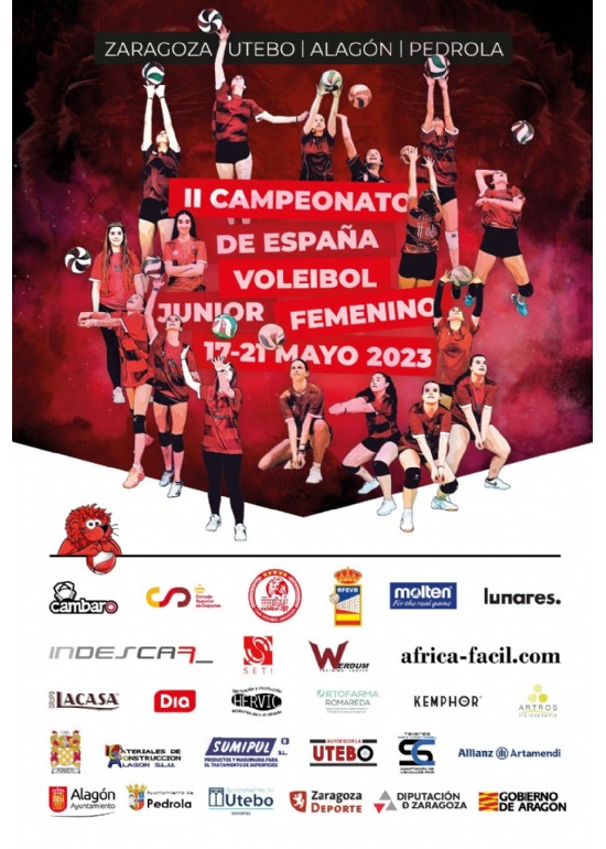 Campeonato de España Júnior de Voleibol Femenino