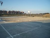 Baloncesto IDE Calle El Coloso [Fecha: 22/03/2013]