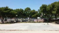 Baloncesto IDE Parque Calle Oviedo/ Avenida América [Fecha: 16/06/2016]