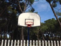 Baloncesto [Fecha: 07/04/2015]