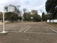 Campo completo de baloncesto [Fecha: 05/04/2019]