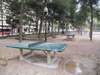Tenis de mesa IDE Parque Pignatelli  [Fecha: 08/11/2011]