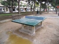Tenis de mesa IDE Parque Pignatelli  [Fecha: 08/11/2011]