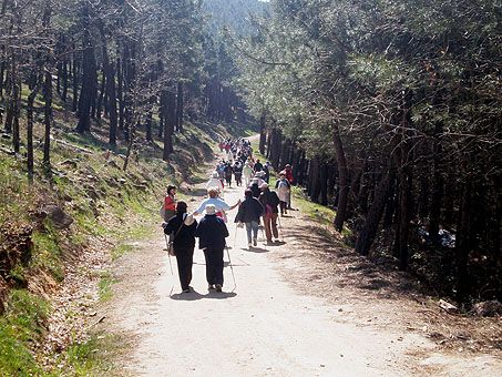 Senderismo para mayores de 65 años: Ciclo Primavera 2011