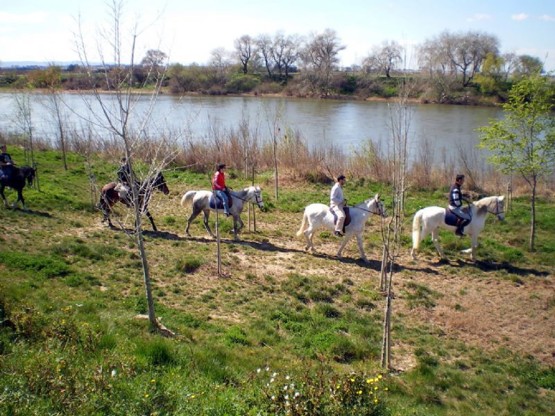 El Parque del Agua estrena rutas a caballo y de canoa