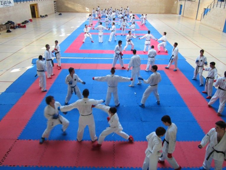 Centro de tecnificación deportiva de la Federación Aragonesa de Karate