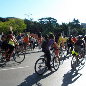 Zaragoza será la ciudad pionera en la puesta en marcha del Registro Nacional de Bicicletas
