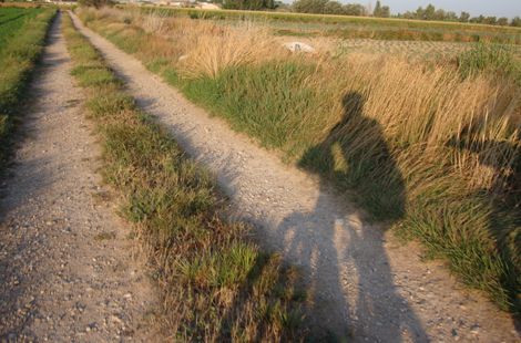 Interesante web que ofrece rutas urbanas y periurbanas en bicicleta por Zaragoza