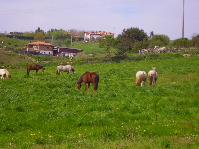 Senderismo para los mayores de 65 años. La naturaleza no entiende de edades