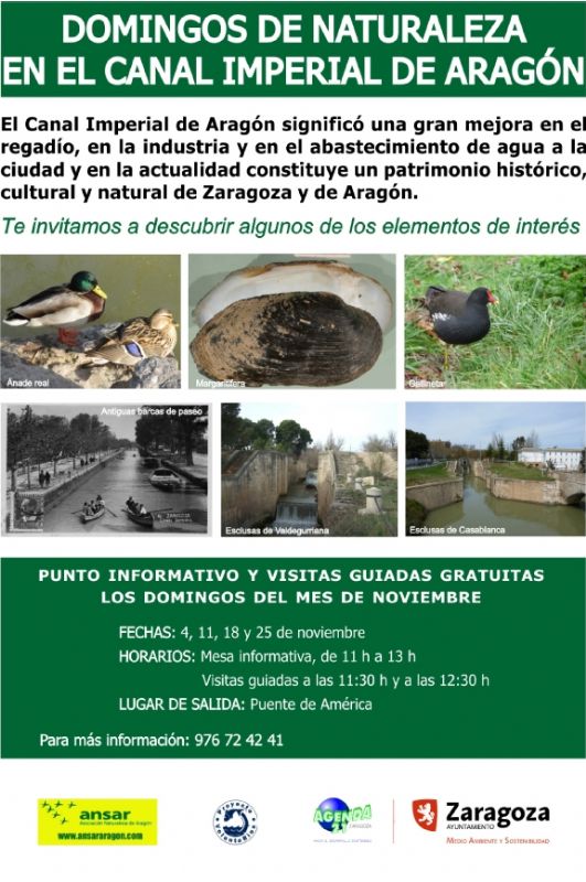 Domingos de naturaleza en el Canal Imperial de Aragón