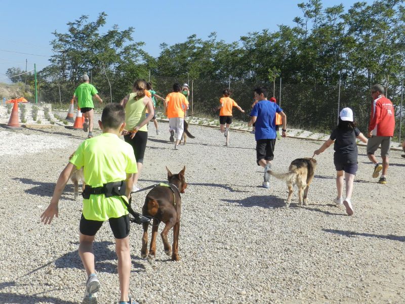 El I Canicross Zaragozano se celebró este domingo con un gran ambiente y buena participación