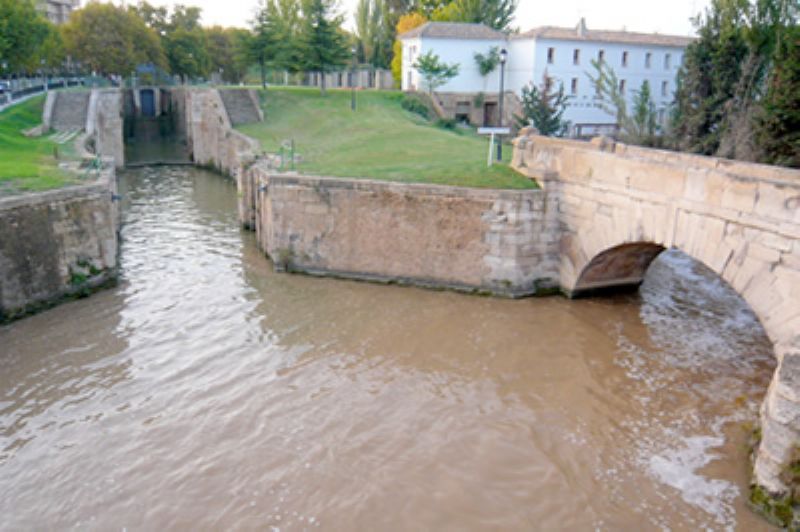 Domingos de naturaleza en el Canal Imperial de Aragón