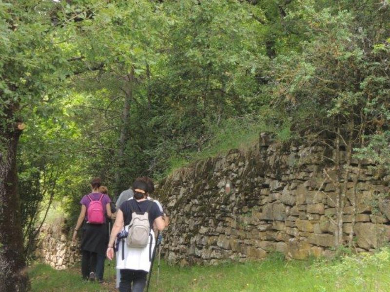 Acondicionamiento del Sendero Turístico de Aragón GR 15