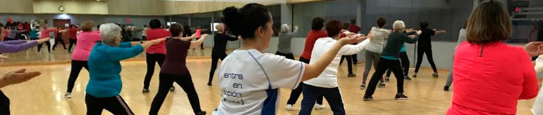 Celebradas dos «master class» de Tai-chi Chuan y G.A.P.