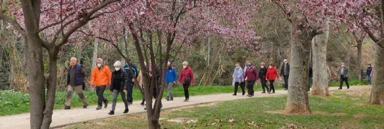 Quedadas activas para caminar dirigidas a mayores de 55 años