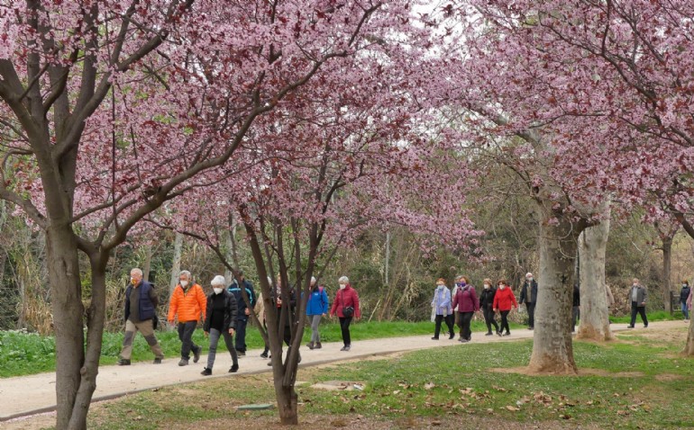 Quedadas activas para caminar dirigidas a mayores de 55 años Quedadas activas para caminar dirigidas a mayores de 55 años