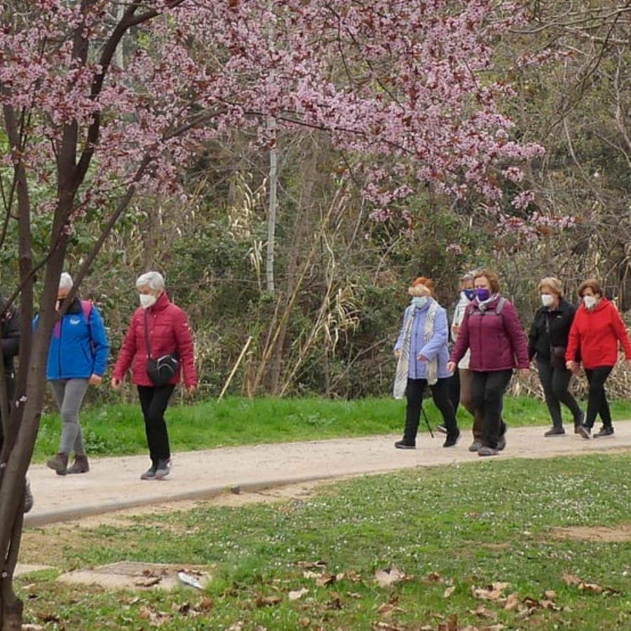 Quedadas activas para caminar dirigidas a mayores de 55 años