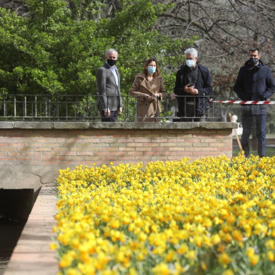 El Ayuntamiento inicia los trabajos para actualizar en profundidad el Parque Grande, manteniendo su esencia pero ampliando su biodiversidad y creando nuevos espacios