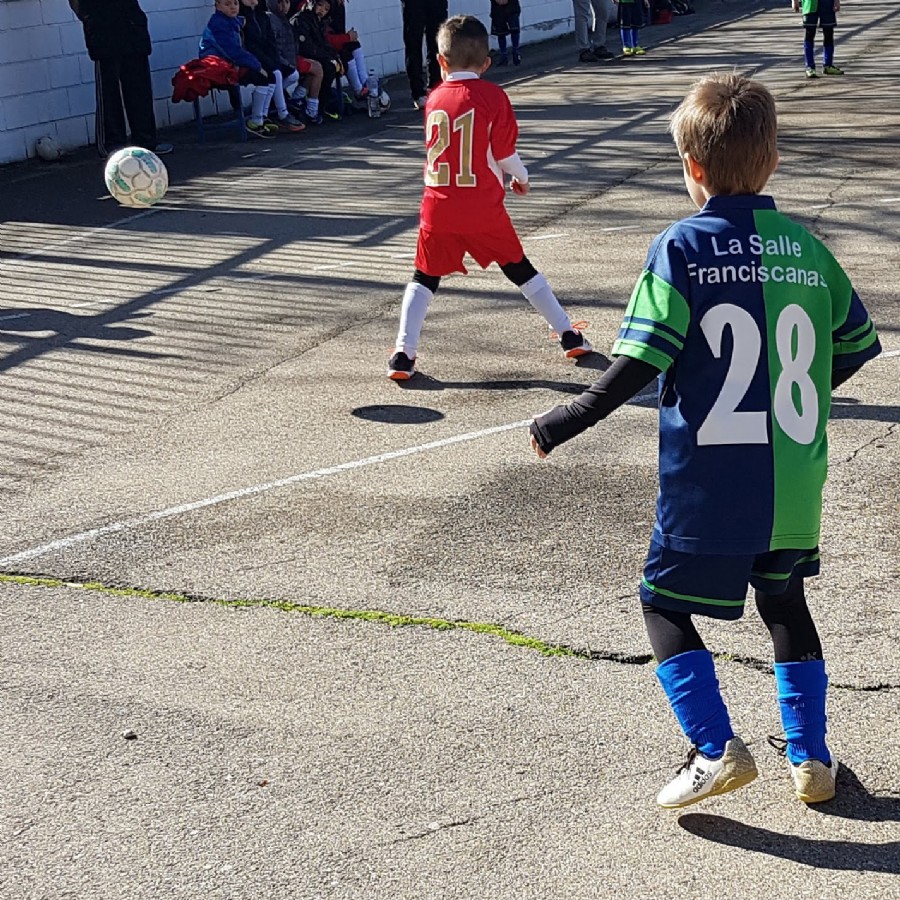 Zaragoza Deporte aumenta las ayudas para deporte base y escolar