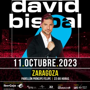 Concierto de David Bisbal