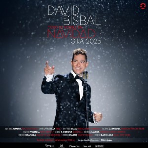 Concierto de David Bisbal