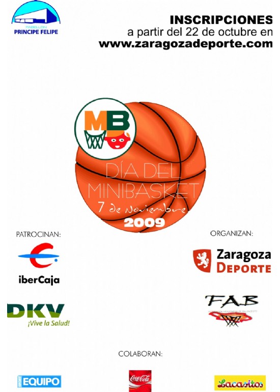 7 noviembre 2009 XII DÍA DEL MINIBASKET