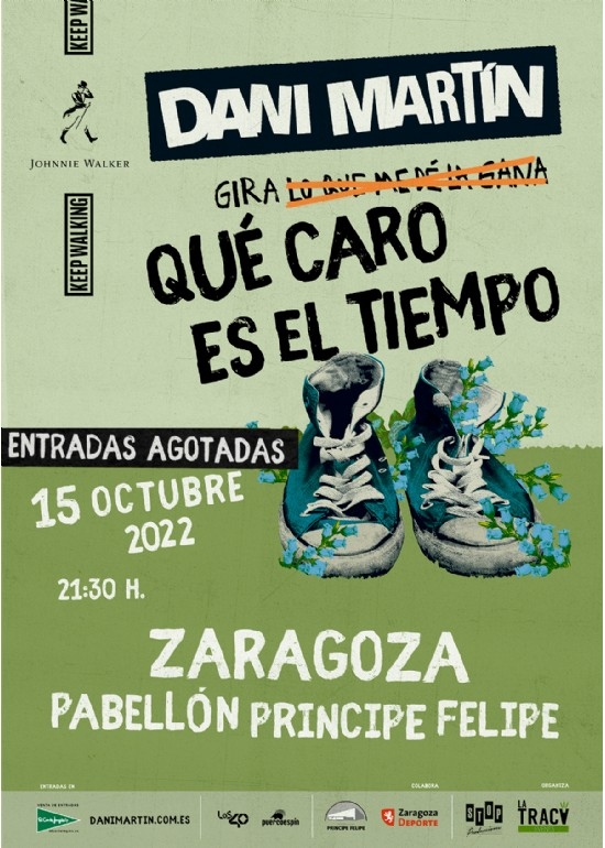 Concierto de Dani Martín