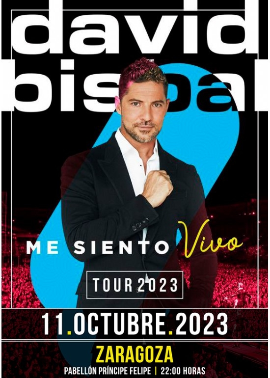 Concierto de David Bisbal