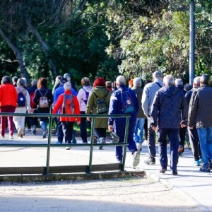 Las andadas guiadas de Zaragoza Deporte para mayores de 55 años inician su segunda temporada con éxito de participación. Foto: Chus Marchador