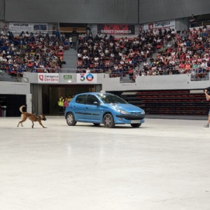 Exhibición Medios Policiales 2023