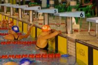 Trofeo CAI-Ciudad de Zaragoza de Natación 2010