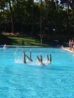 Natación Sincronizada 1