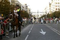 «Día del Deporte en la Calle»