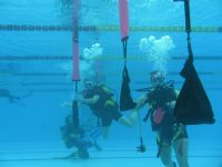 «Campeonato de España de Buceo de Competición»